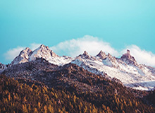 91爆料今日大赛：窗户纸被捅开，未来新机遇