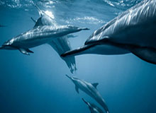 情绪一下就上来了，91大事件线路突然让评论区失控